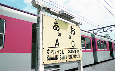 �����w ���w��