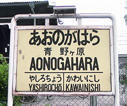 ��P���w ���w��