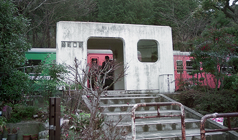 �D�����w