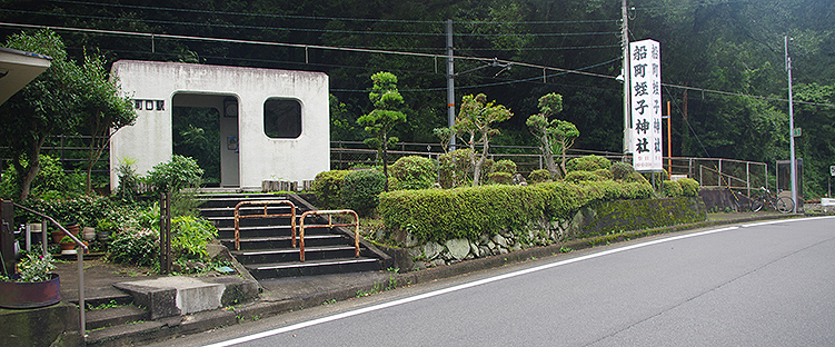 �D�����w