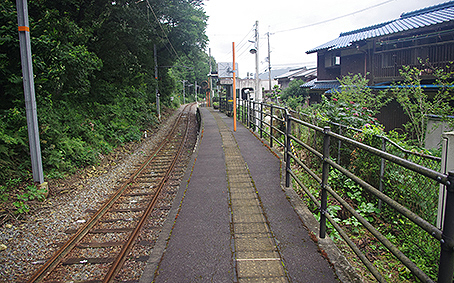 �D�����w