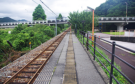 ���{�ւ������w