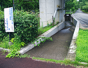 ���{�ւ������w