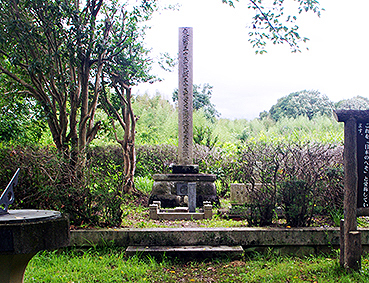 ���{�ւ������w