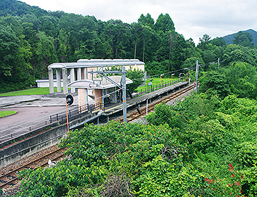 ���{�ւ������w