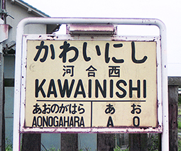 �͍����w ���w��