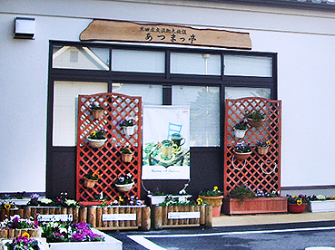 ���c���w