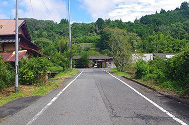 ����y���w