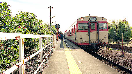 ���O��{�w���w��