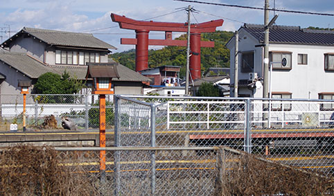 ���������w