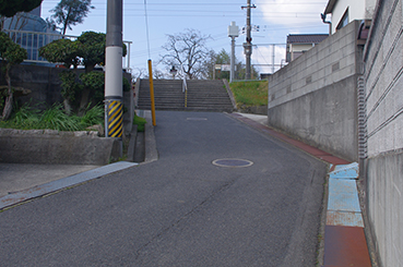 ���O�c��w