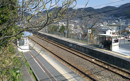 ���O�c��w