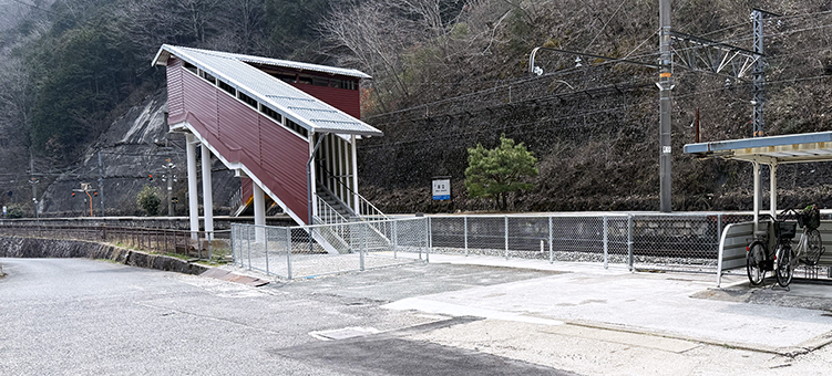 ������ �����w