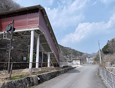 ������ �����w