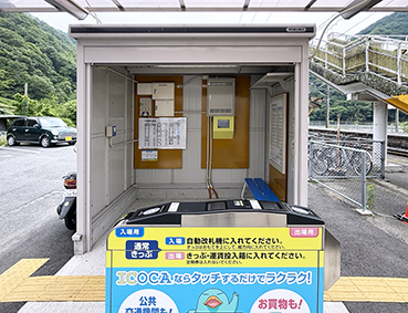 ������ �����L���w