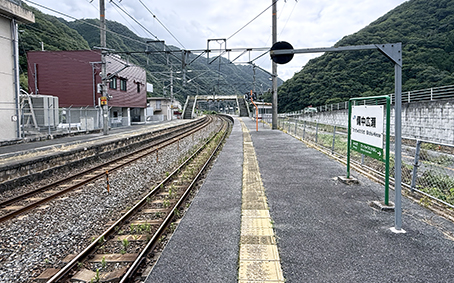 ������ �����L���w