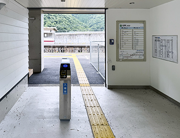 ������ �����L���w