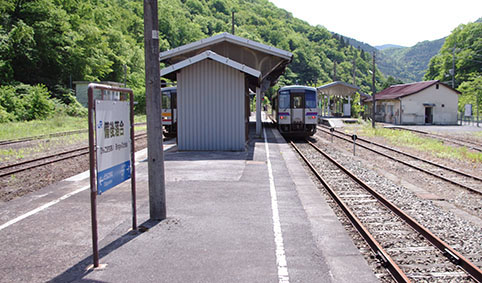 ���㗎���w