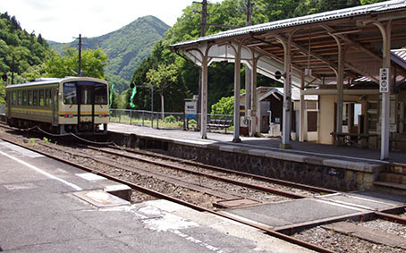 ���㗎���w