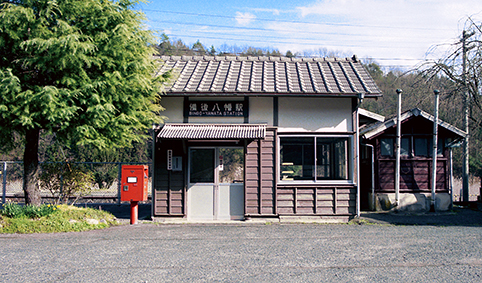 ���㔪���w