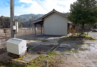 ���㔪���w