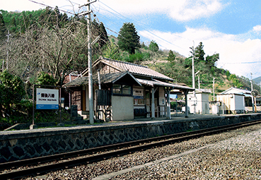 ���㔪���w