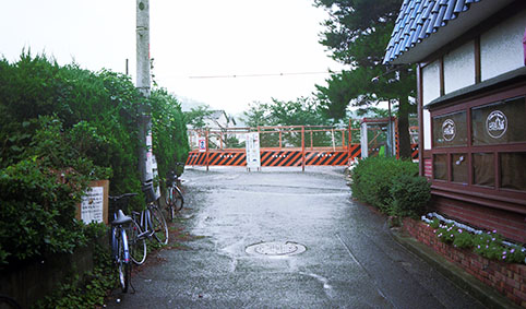 ����{���w1997�N