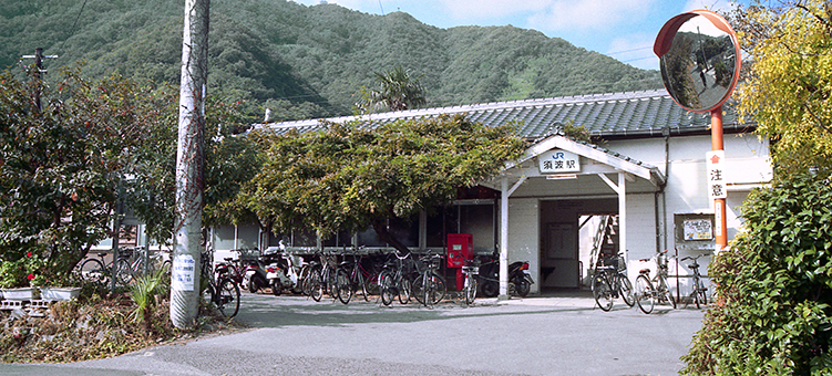 �{�g�w ���w��