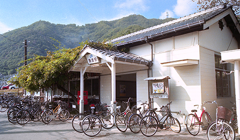 �{�g�w ���w��