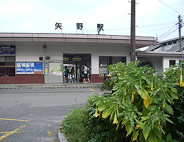 ���w�@���w��