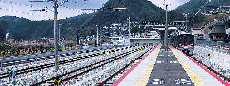 �����T�R�w