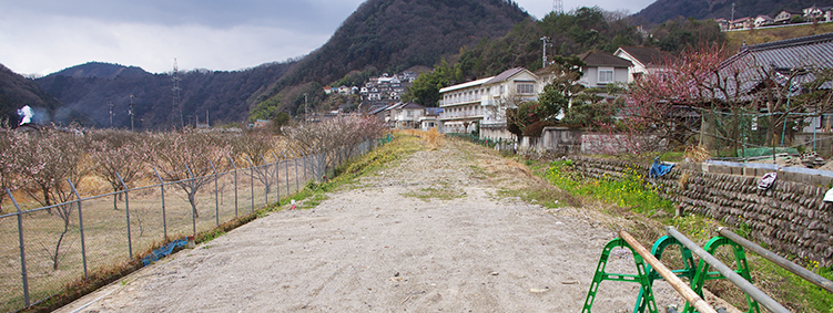 �����T�R�w