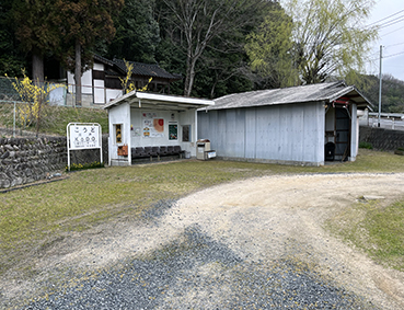 ���� �����T�R�w