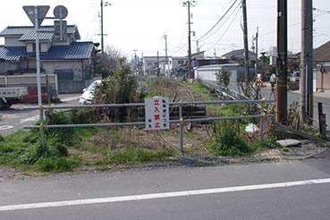 �F�����w