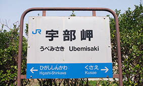 �F�����w