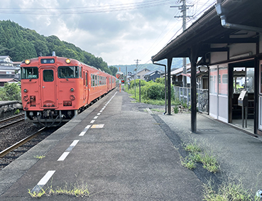 �R���� �Ό����c�w