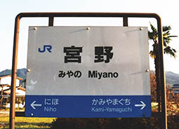 �R���� �{��w