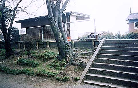 �R���� ���h�����w