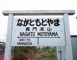 ����c���{�R�x���E����{�R�w