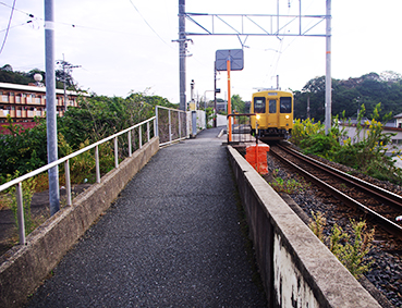 ����c���E�쒆��w