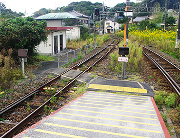 ����c���E�ڏo�w