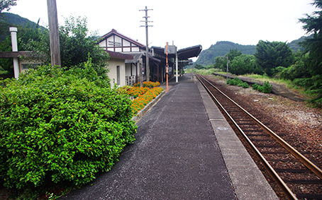 ���哒�{�w