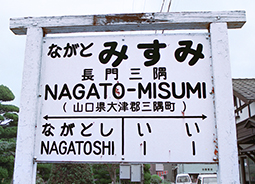 ����O���w