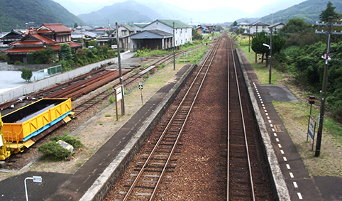 ����O���w