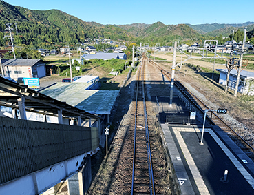 �R�A�� �R�Ɖw