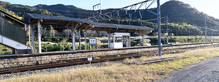 �R�A�� �R�Ɖw