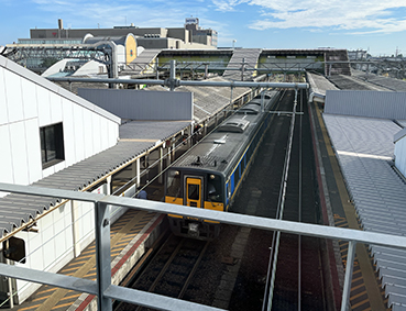 �R�A�� �Ďq�w