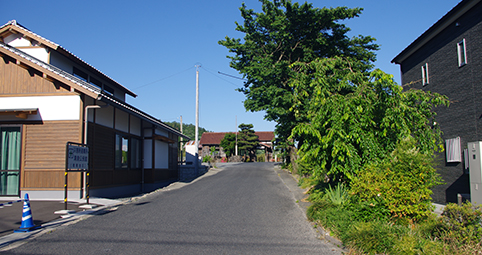 �������w