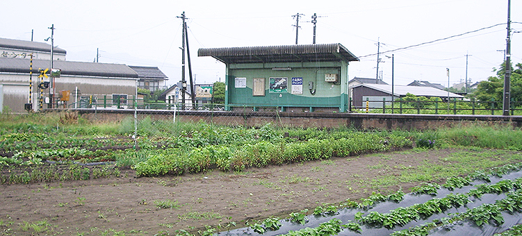 ���� �㓹�w