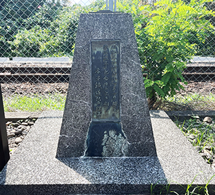 ���� �n��蒬�w